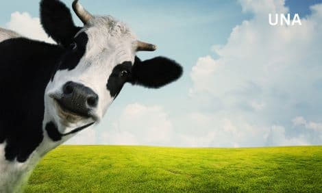‘नॉन-वेज दूध’ बना भारत-अमेरिका व्यापार समझौते में रोड़ा – सांस्कृतिक टकराव से बिगड़े रिश्ते